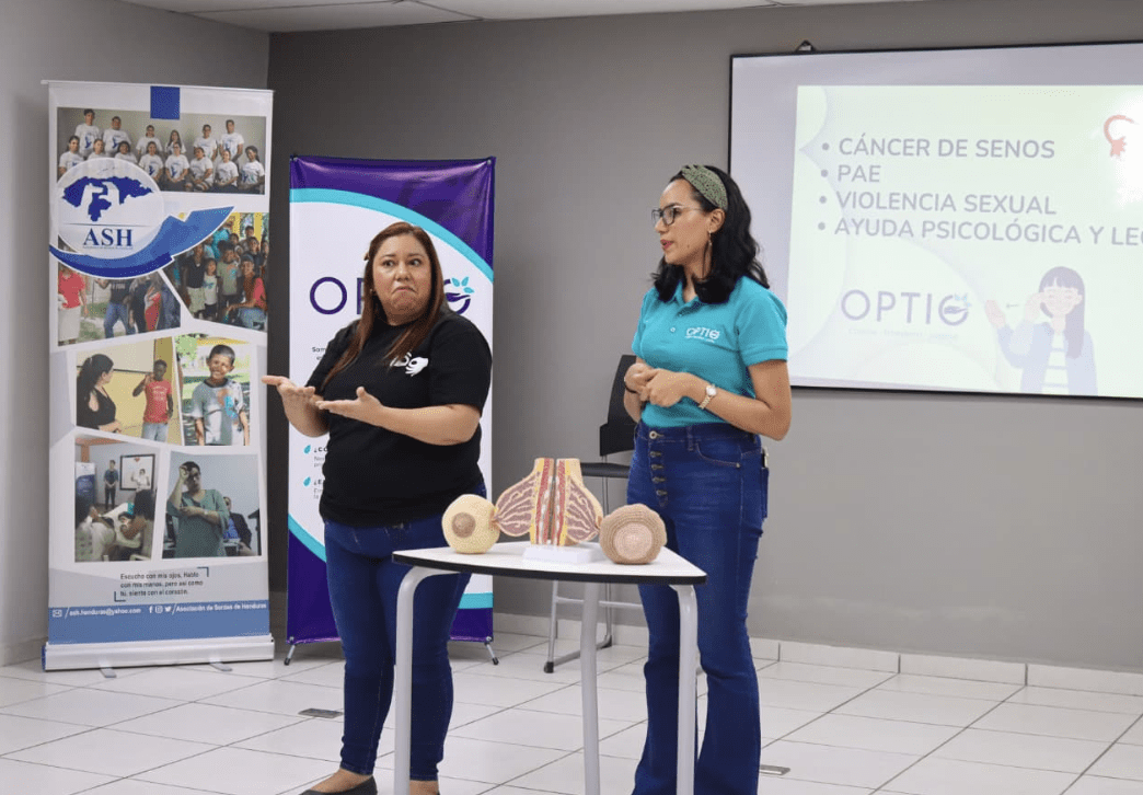 Workshop on Breast Cancer Prevention and Emergency Contraception for Women with Hearing Disabilities